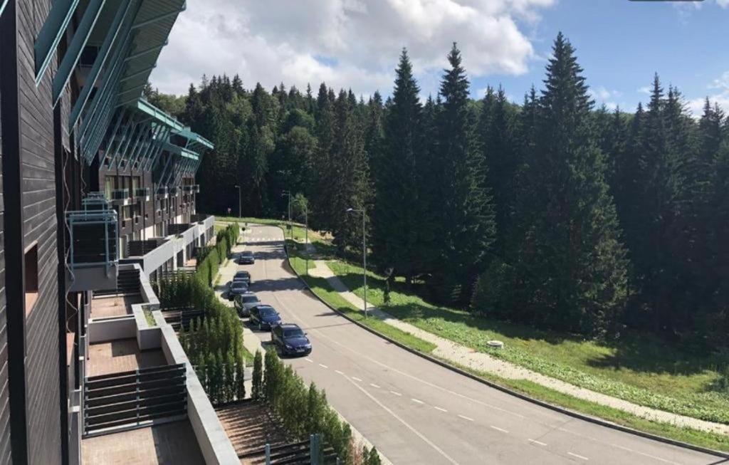 Silver Mountain, Duplex 3 Camere - 250 Mp Luxury Garden - Poiana Braşov Exterior foto